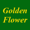 Golden Flower